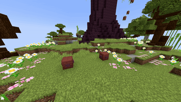Block Line Preview