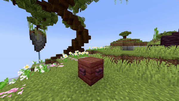 Set Block Preview